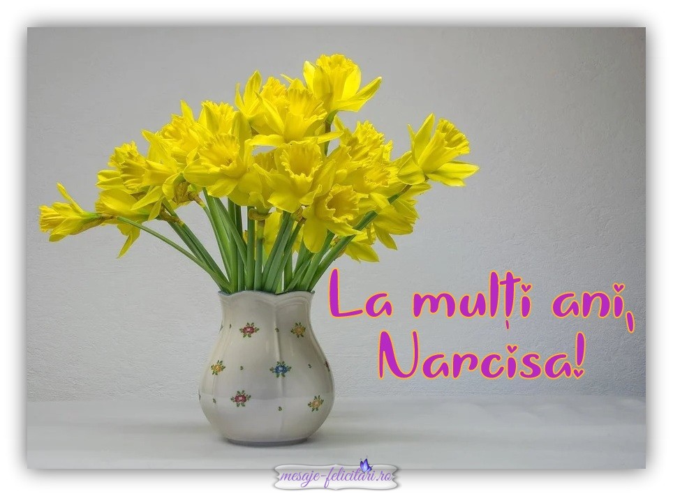 La multi ani, Narcisa!