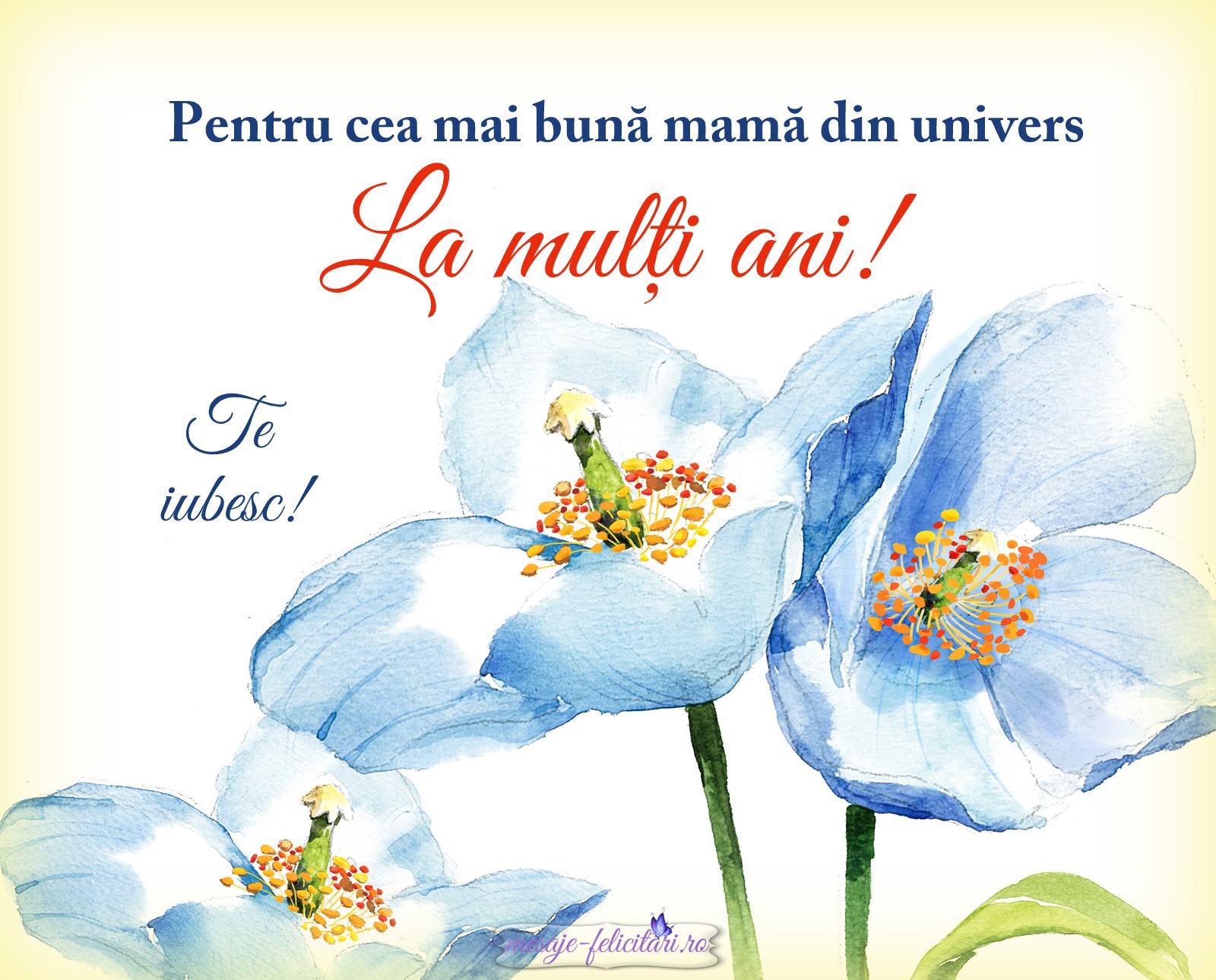 Pentru cea mai buna mama din univers