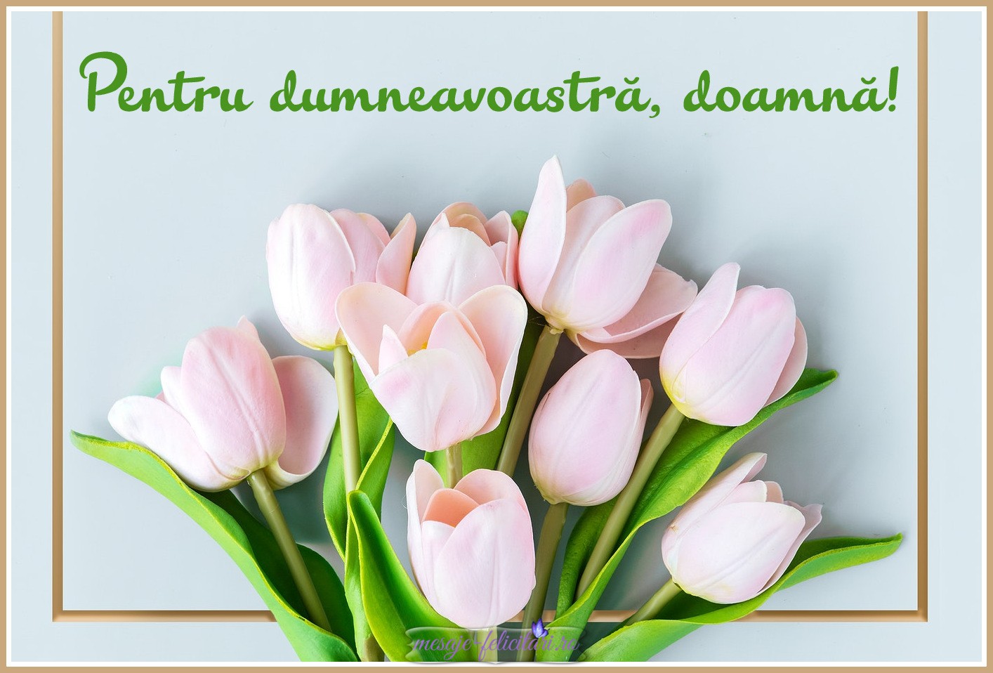 Pentru dumneavoastra, doamna!