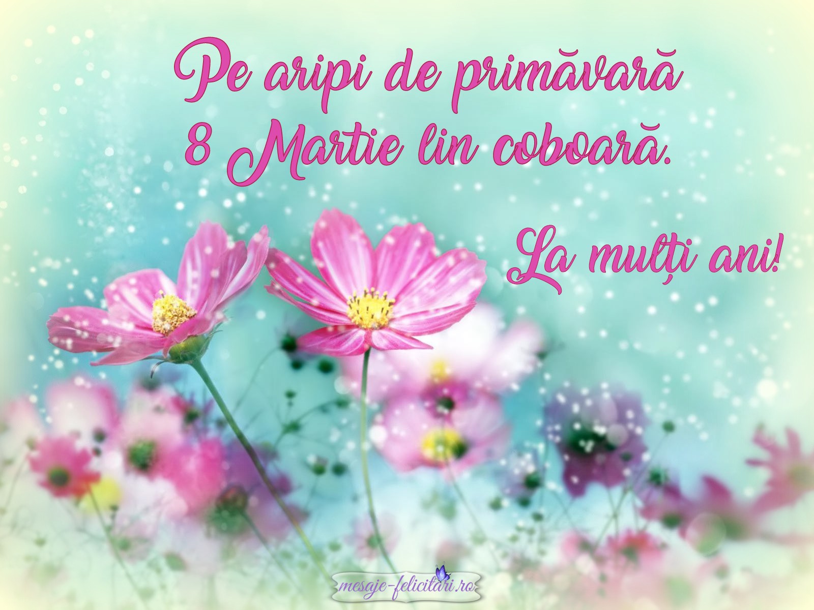 Pe aripi de primavara 8 martie lin coboara