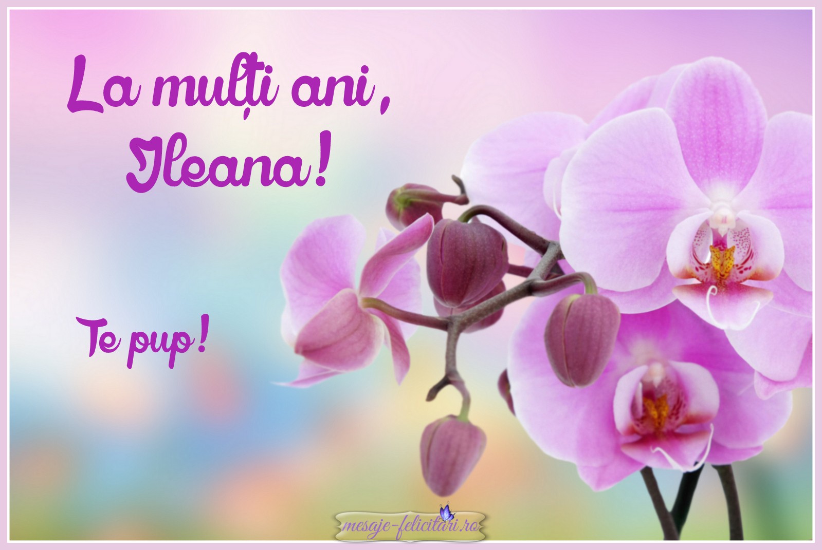 La multi ani, Ileana!