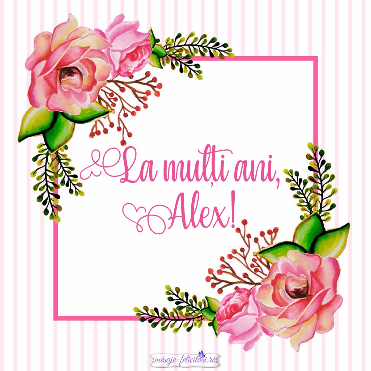 La multi ani, Alex!