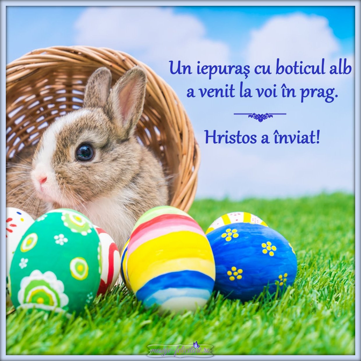 Iepuras cu botic alb