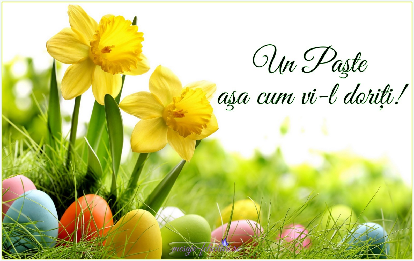 Paște așa cum îl doriți