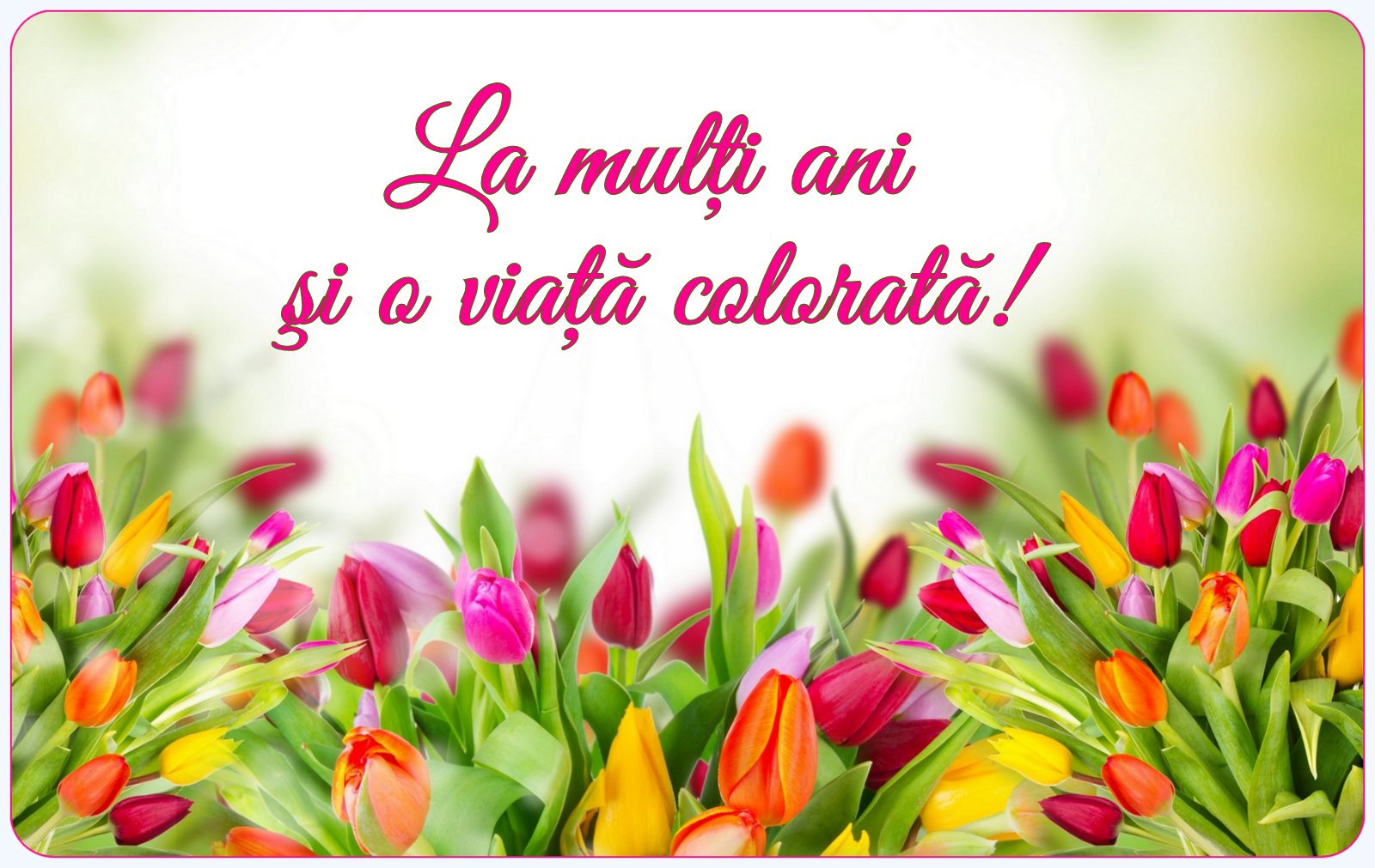LMA si o viata colorata