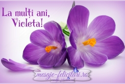 La multi ani, Violeta!