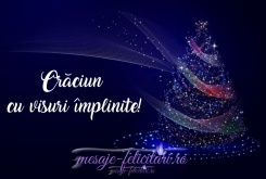 Craciun cu visuri implinite