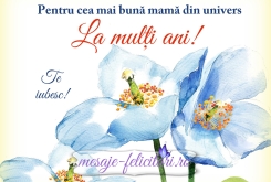 Pentru cea mai buna mama din univers