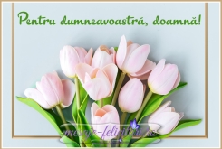 Pentru dumneavoastra, doamna!