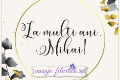 La multi ani, Mihai!