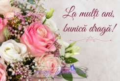 La multi ani bunica draga