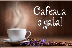 Cafeaua e gata