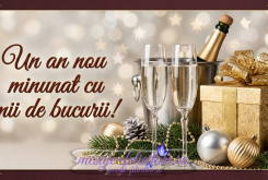 An nou minunat