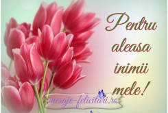 Pentru aleasa inimii mele