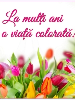 LMA si o viata colorata